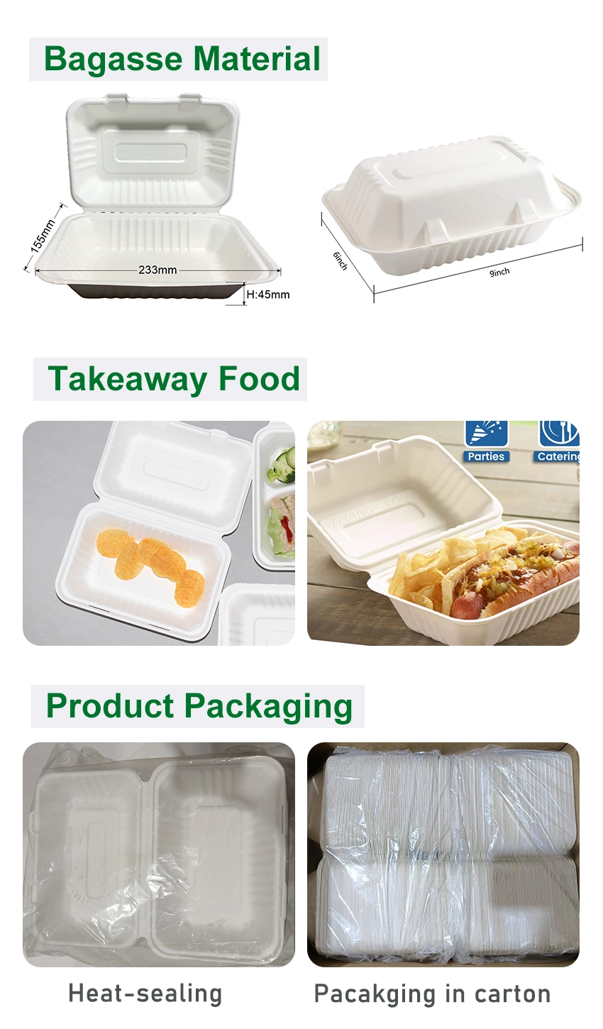 Takeaway Fast Food 9X6 Compostable Paper Pulp Sugarcane Bagasse and Paper Clamshell Envases Contenedores De Comida Biodegradable Food Container